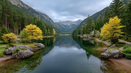 Serene Lake with Glassy Reflection Surrounded by Lush Forests