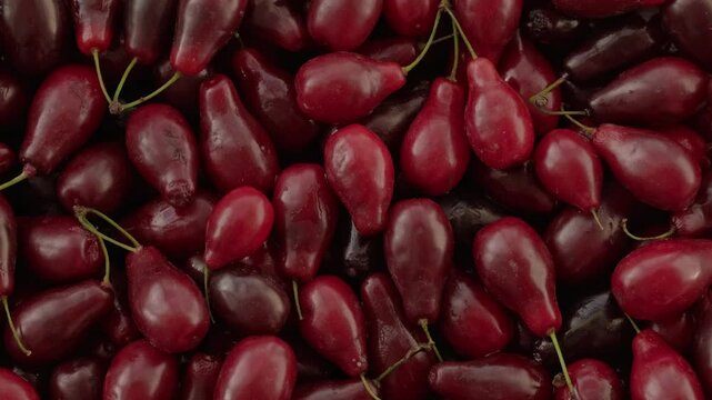 Ripe red cornel background. Dogwood berry close-up. Fresh cornelian cherry berries. Cornelian berry - useful organic dogwood, food, vitamin berry, healthy fruit. Rotating, slow motion, top view, flat 