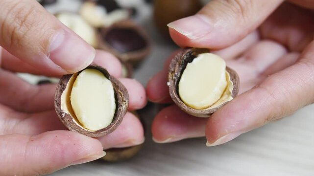 Two macadamia nuts are being opened by hand, revealing the creamy white seed inside, ready to be enjoyed as a healthy and delicious snack or ingredient