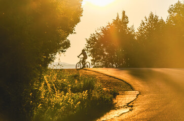 A person is riding a bicycle on a road. The road is surrounded by trees. The sun is shining brightly, creating a beautiful scene