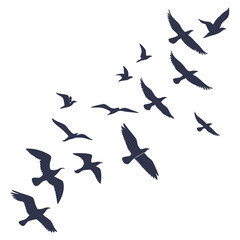 Fototapeta premium Flock of Birds in Flight Elegant Silhouette Illustration