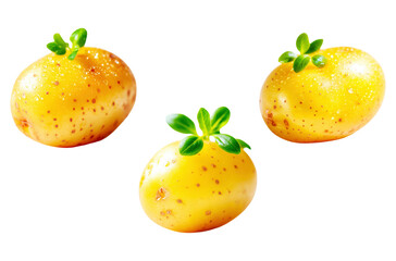 Ultra realistic Minimalistic single Potato high detail