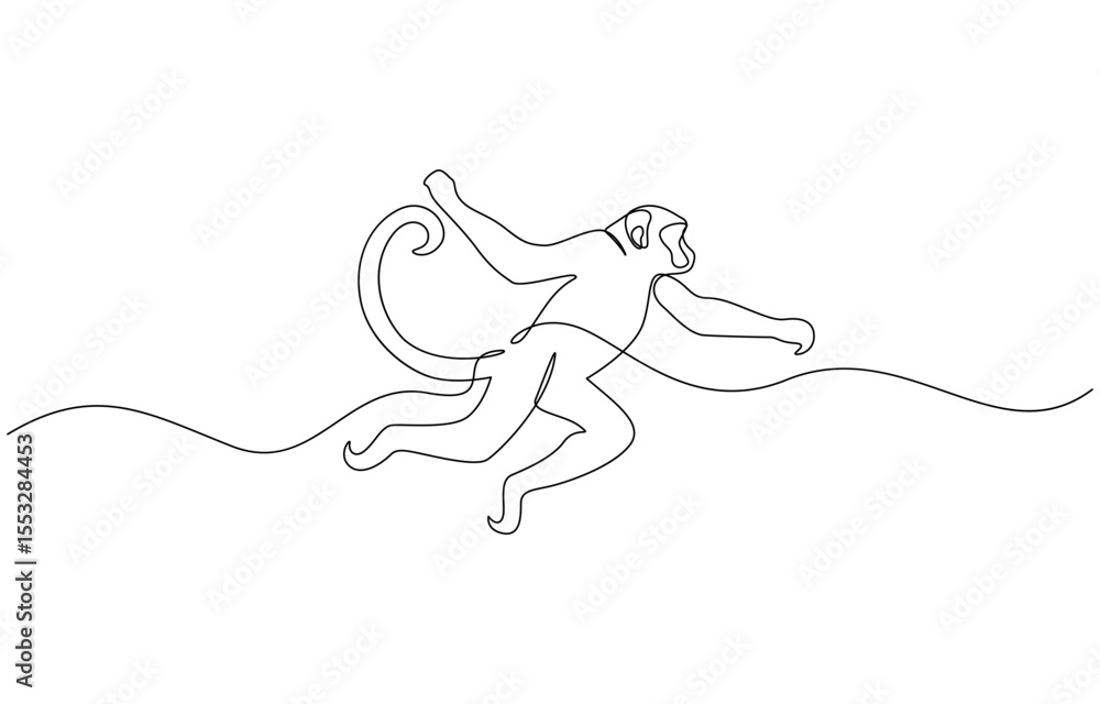 Poster one continuous line drawing of spider monkey vector illustration, elegant galada monkey illustration