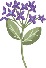 Purple Flower Illustration
