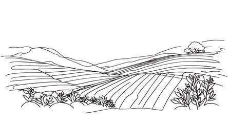 Simple hand drawn vector drawing in black outline. Doodles sketch landscape