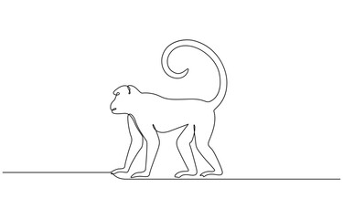 One continuous line drawing of Spider Monkey vector illustration, Elegant galada monkey illustration in continuous line drawing. Monkey single line art vector illustration. Editable vector