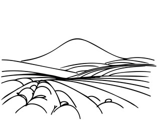 continuous line drawing grass fields sketch