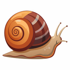Cute cartoon snail with a brown striped shell isolated on white background