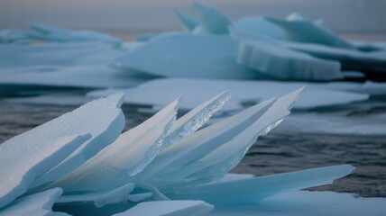Majestic arctic icebergs floating on calm waters at sunset