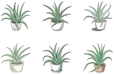 Fototapeta premium Aloe Vera in Pot Vector Designs Set Cute Minimal Succulent Plant Illustrations for Print and Digital