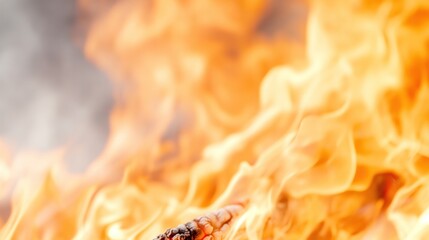 A close-up of vibrant flames, showcasing the intense energy and beauty of fire in natural settings. Captivating and dynamic imagery.