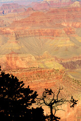Hazy Sky Day Winter The Grand Canyon Arizona