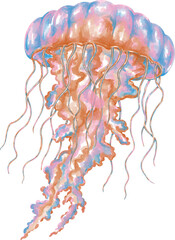 Watercolor jellyfish graphic illustration, which can be used in many forms such as scrapbook, postcards, stickers, teaching media, digital printing and many more.