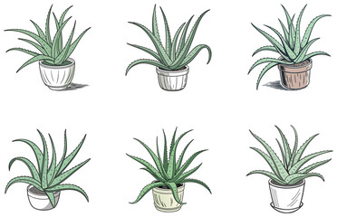Aloe Vera in Pot Vector Designs Set Flat Minimal Succulent Illustrations for Digital and Print