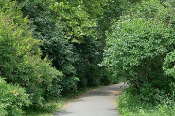 A serene pathway winds through dense foliage, inviting visitors to explore the natural beauty of...