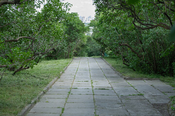 A wide stone pathway winds through dense greenery, inviting exploration. The background reveals a...