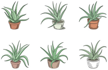 Aloe Vera in Pot Vector Designs Set Minimal Flat Succulent Illustrations for Crafts and Digital Use