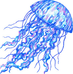 Watercolor jellyfish graphic illustration, which can be used in many forms such as scrapbook, postcards, stickers, teaching media, digital printing and many more.