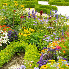 Beautiful garden with a flowers.