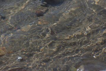 Clear water ripples over submerged rocks and pebbles, creating mesmerizing patterns of light and shadow, evoking a serene and natural aquatic mood.