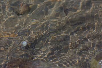 Clear water ripples over submerged rocks and pebbles, creating mesmerizing patterns of light and shadow, evoking a serene and natural aquatic mood.