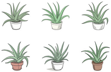 Aloe Vera in Pot Vector Designs Set Flat Minimal Succulent Clipart for Digital and Print
