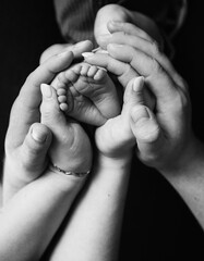 A black and white image showing a baby's tiny feet held delicately by multiple adult hands. The...