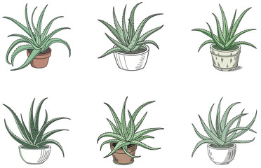Aloe Vera in Pot Vector Designs Set Minimal Flat Succulent Illustrations for Crafts and Decor