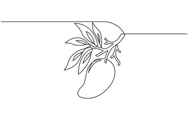Continuous one line drawing of mango. Doodle vector illustration, Mango fruit hand drawn single line art Mango fruit hand drawn single line art.