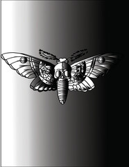 Gothic Skull Moth Tattoo Design &ndash; Dark Vintage Insect Illustration in Black and White