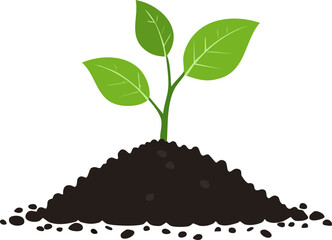 Bright young plant with three shiny leaves sprouting confidently from loose dark earth isolated on pure white canvas leaving wide open area for inspirational growth messages