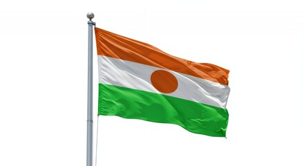 Niger's vibrant flag billows proudly against a clear white sky.