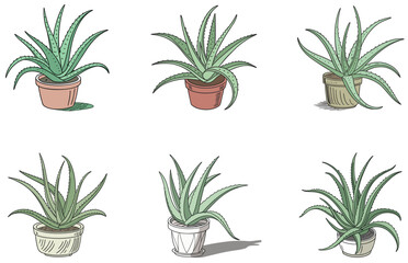 Aloe Vera in Pot Vector Designs Set Minimal Flat Succulent Illustrations for Crafts and Decor