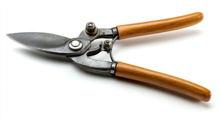 Fototapeta premium Garden shears with wooden handles (2)