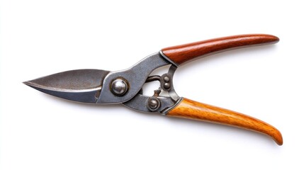 Fototapeta premium Garden shears for pruning