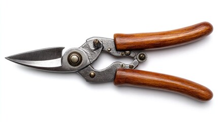 Fototapeta premium Pruning shears with wooden handles