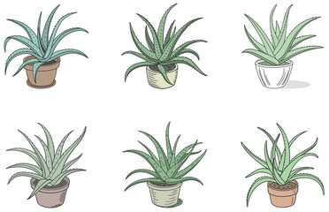 Aloe Vera in Pot Vector Designs Set Flat Minimal Succulent Clipart for Print and Digital Use