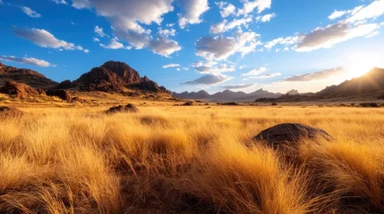 Gordijnen A captivating golden grass landscape beneath a bright blue sky at sunset, showcasing the beauty of nature and its ability to inspire feelings of freedom and tranquility. © svastix
