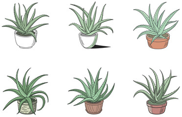 Aloe Vera in Pot Vector Designs Set Minimal Flat Succulent Clipart for Digital and Print