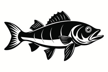 Black and White Vector Illustration of a Fish with Detailed Fins and Scales