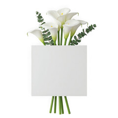 Bouquet of white calla lilies isolated on transparent background