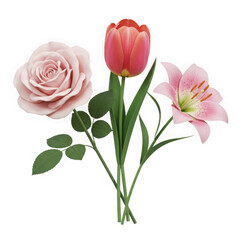 Rose tulip and lily isolated on transparent background