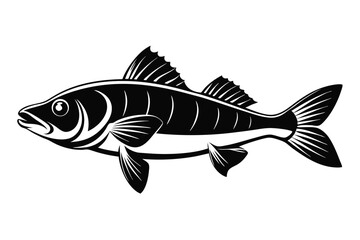Black and White Graphic of a Perch Fish Illustration with Fins Detailed