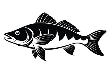 Elegant Monochrome Illustration of a Perch Fish with Detailed Fins and Tail