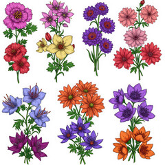 Various floral bouquets isolated on transparent background illustration