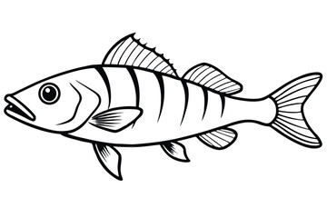 Detailed Black and White Illustration of a Fish with Vertical Stripes on its Body