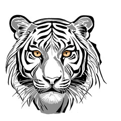tiger head illustration