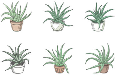 Aloe Vera in Pot Vector Designs Set Flat Minimal Succulent Illustrations for Crafts and Decor