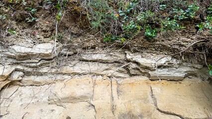Eroded limestone layers whisper geological secrets, celebrating Earth Science Week and Fossil Day...