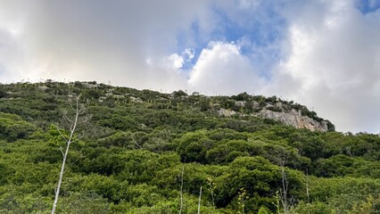 Under azure skies, lush verdant hills whisper winds of ancient secrets, invoking Gaia Theory and...